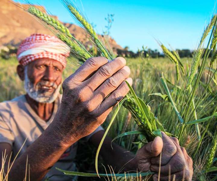 Humanitarian Aid and Community Resilience Project