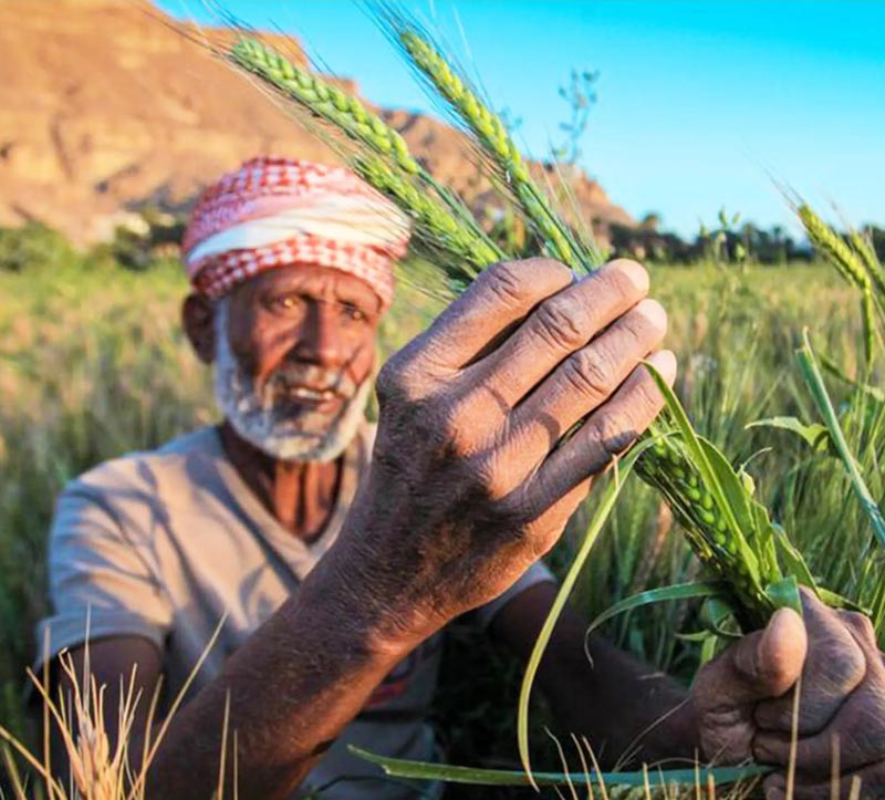 منظمة عبس التنموية للمرأة والطفل